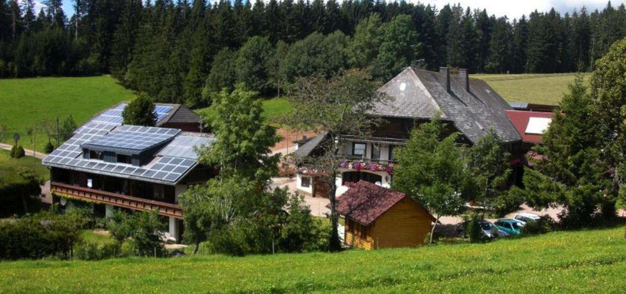 Willmannshof Lägenhet Furtwangen Exteriör bild