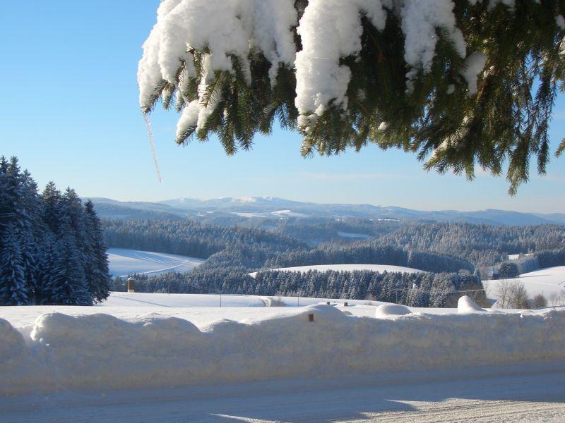 Willmannshof Lägenhet Furtwangen Exteriör bild